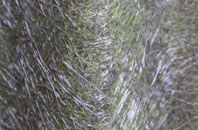 Endon fibreglass roof work